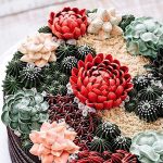 Wedding Cakes - Succulents